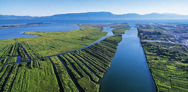 neretva river delta